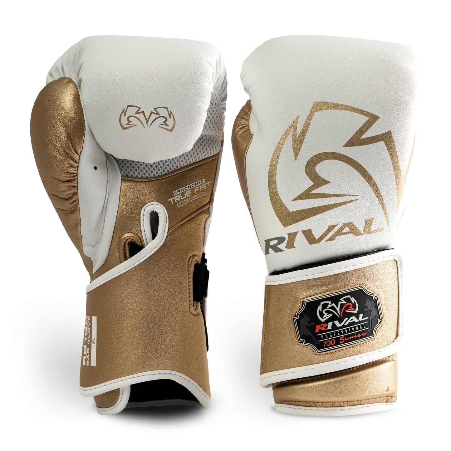 WHITE/ GOLD