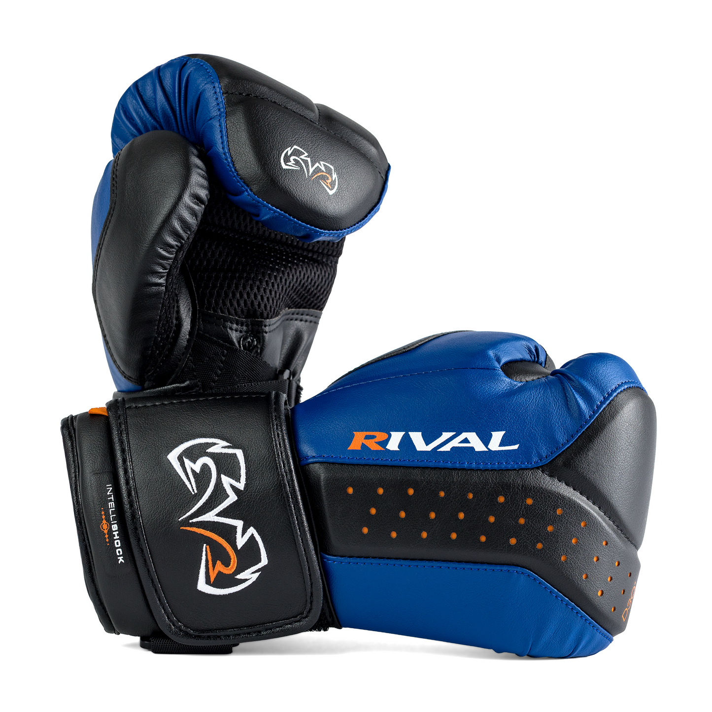 BLACK/ BLUE