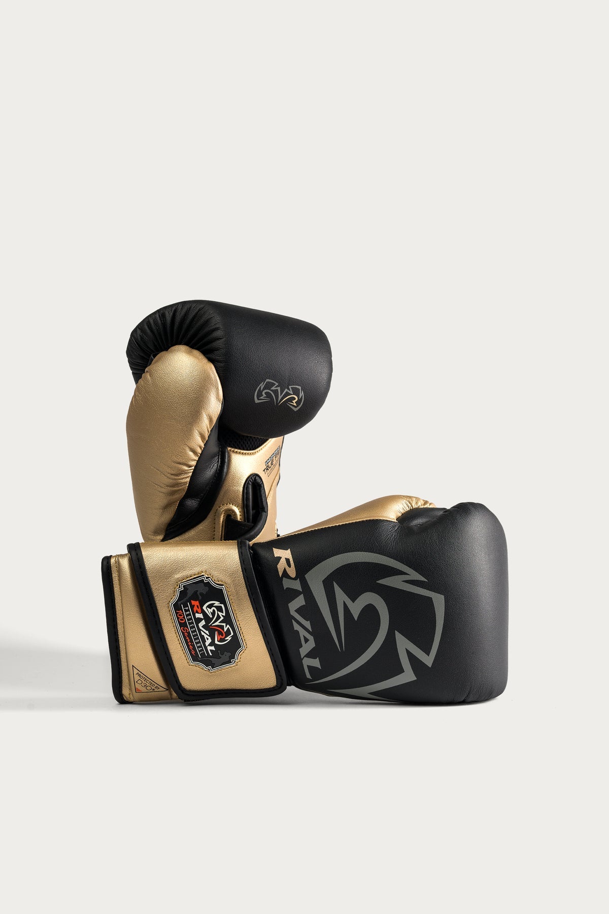 BLACK/ GOLD