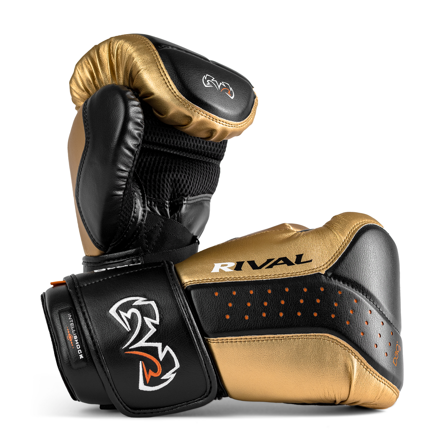 BLACK/ GOLD