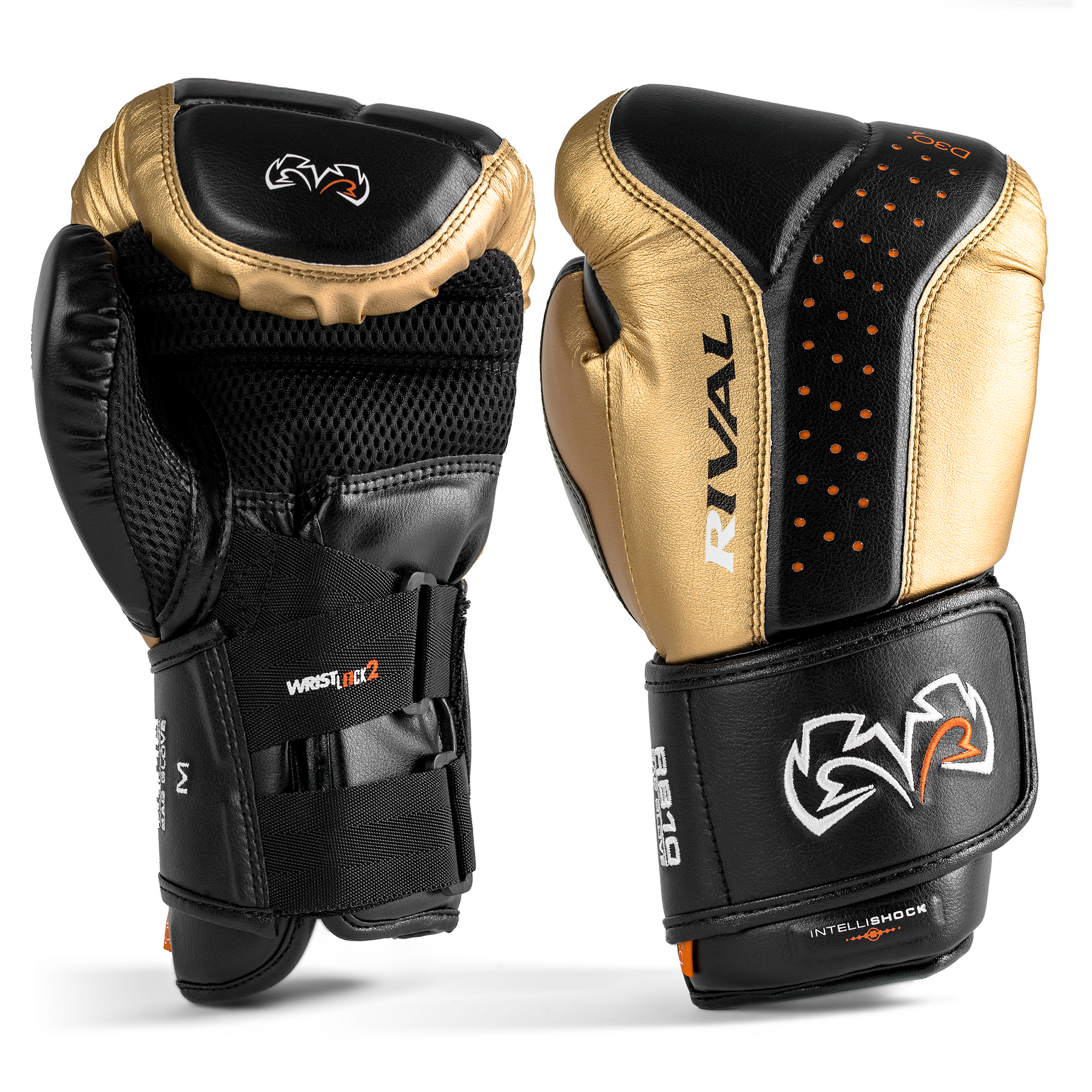 BLACK/ GOLD