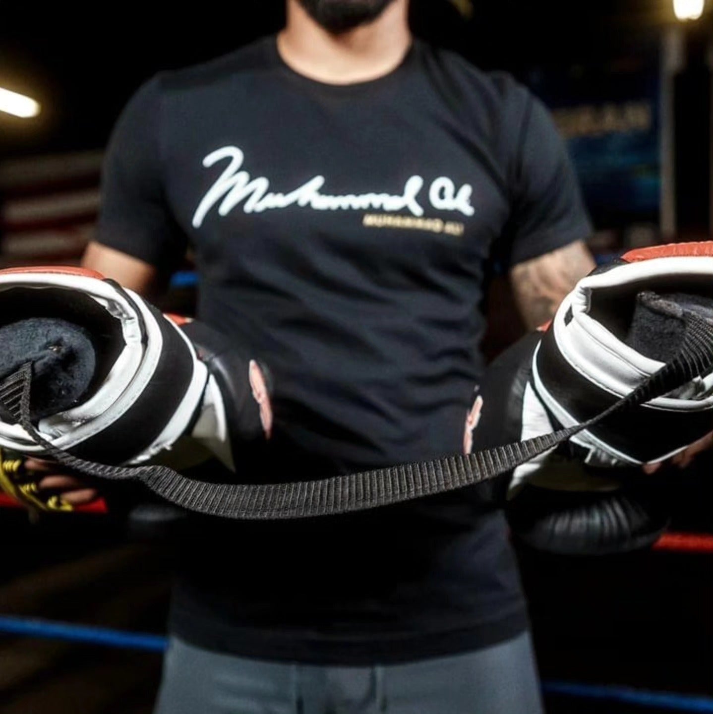 TITLE BOXING GLOVE DRY DEVIL 2.0