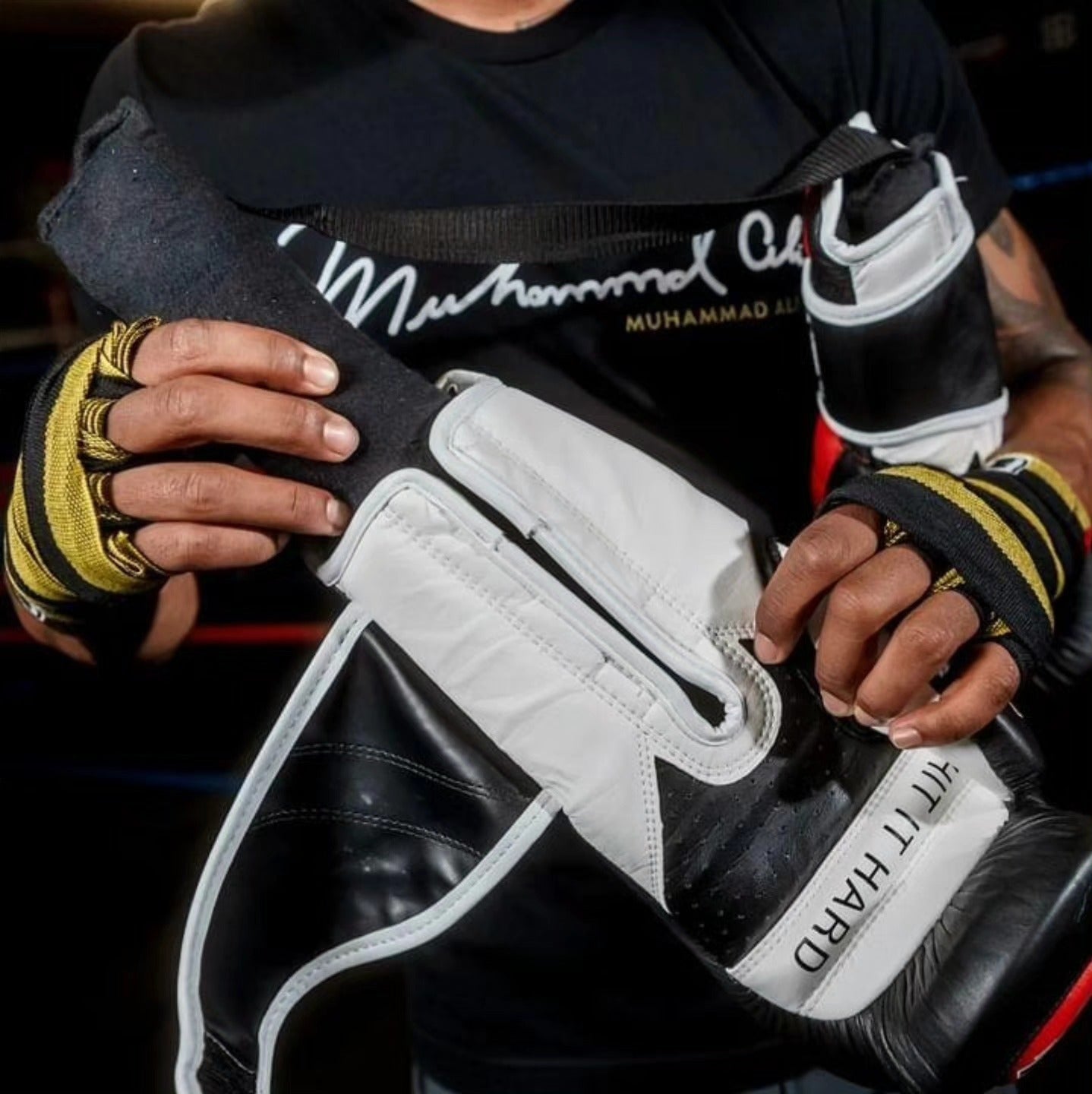 TITLE BOXING GLOVE DRY DEVIL 2.0